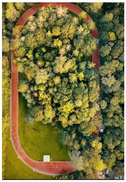Concept image of a forest running track on the reforested archery school site