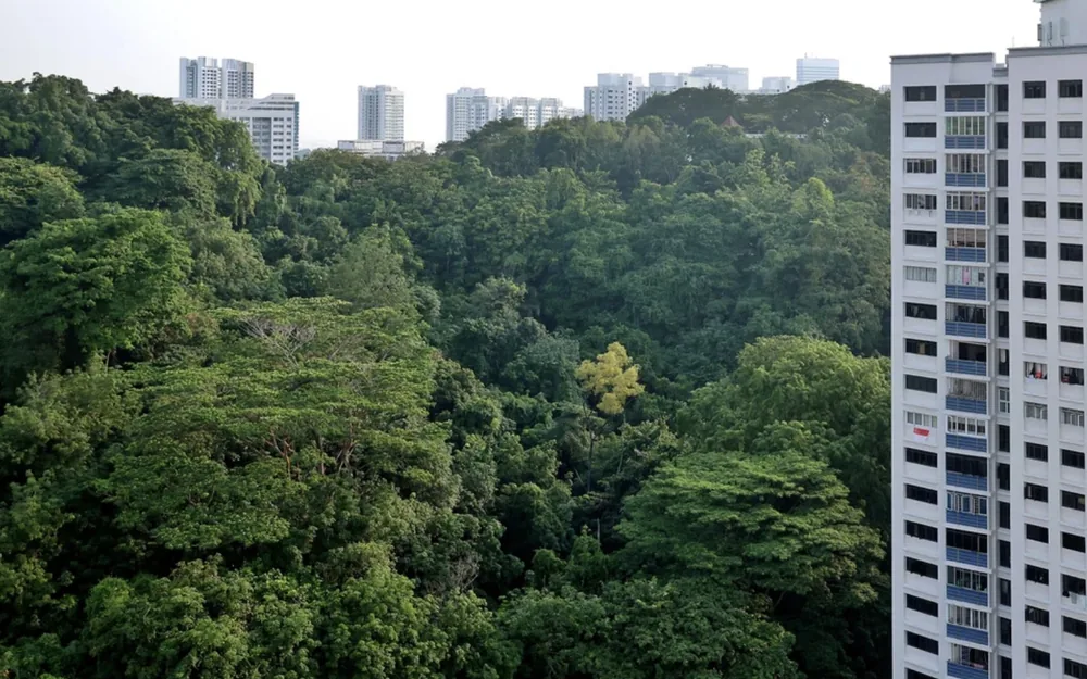 Business Times commentary on the Gillman Forest housing plan