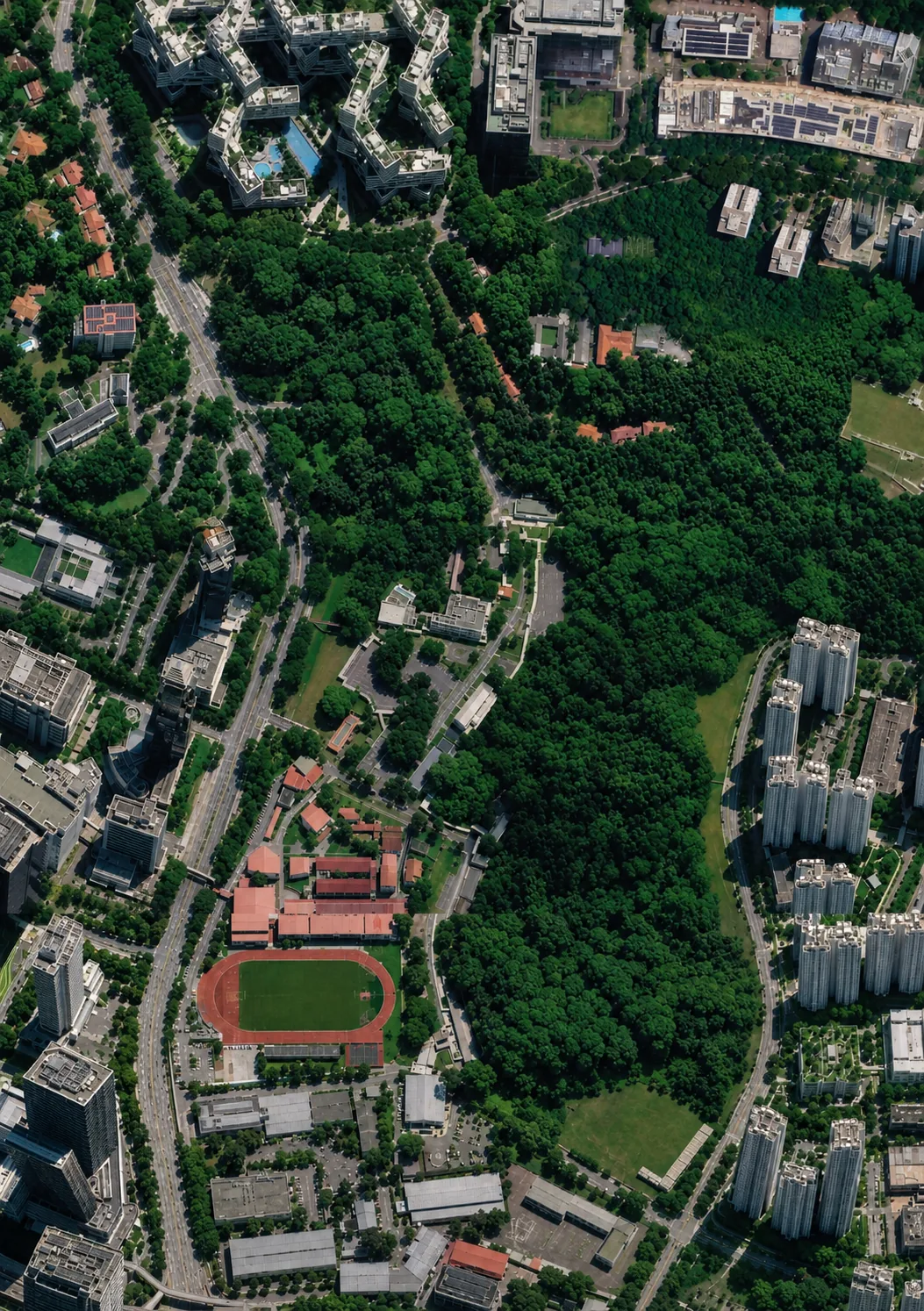 Aerial view of Gillman Forest today, a continuous green canopy between the surrounding roads and estates